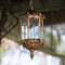 Antique Bronze Outdoor Chandelier  - Antiques Global